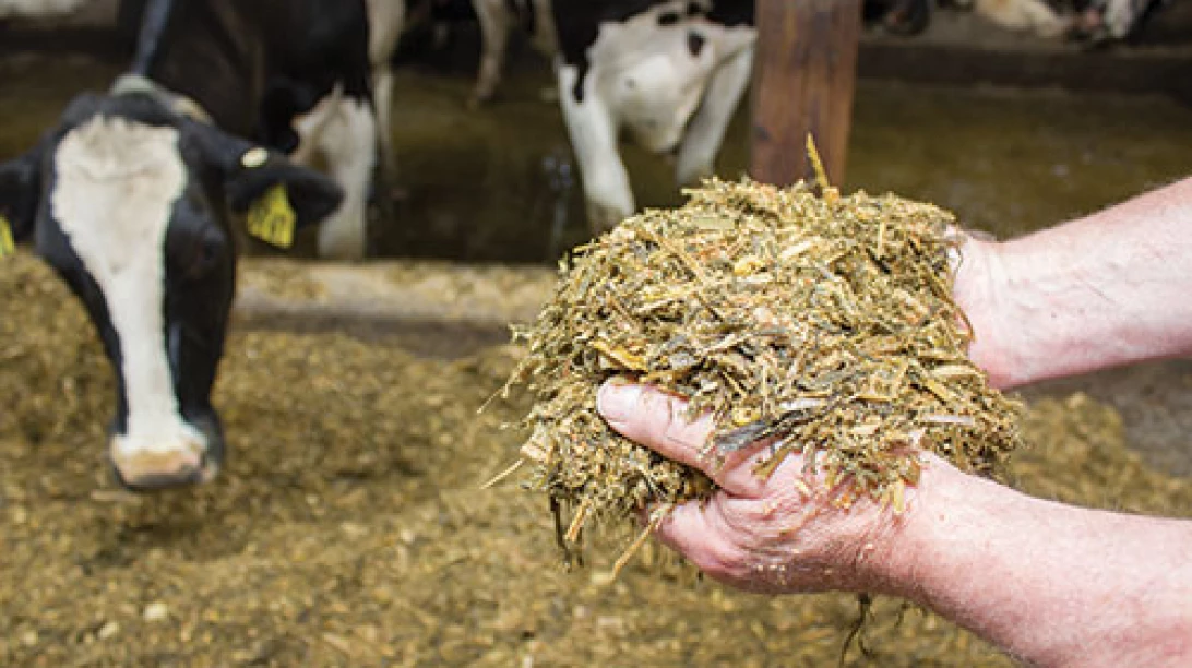 Ensilage