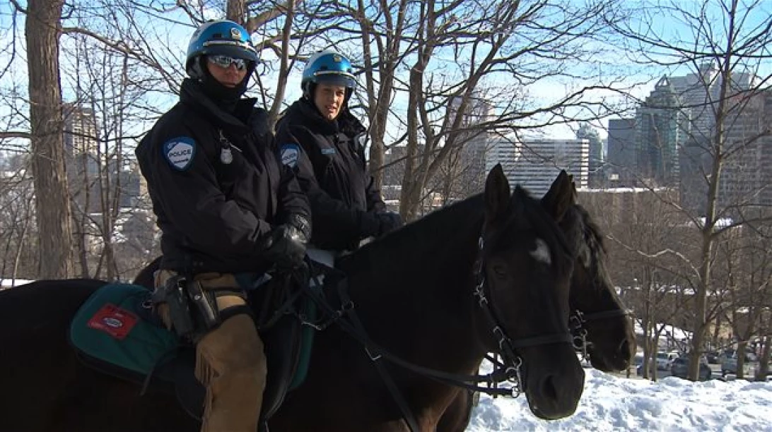 police cheval