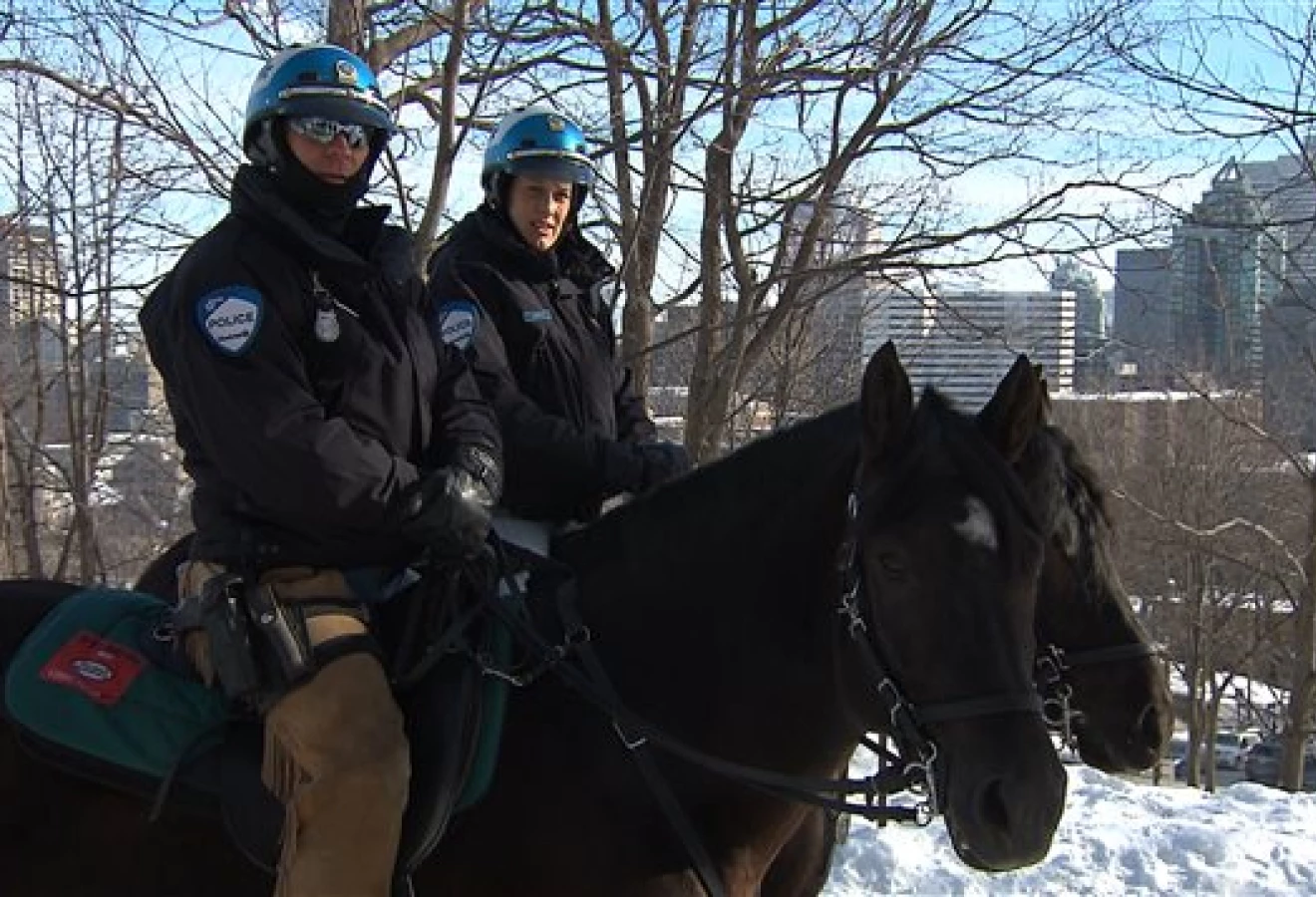 police cheval