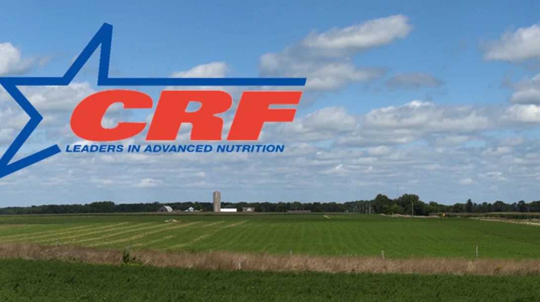 Logo CRF