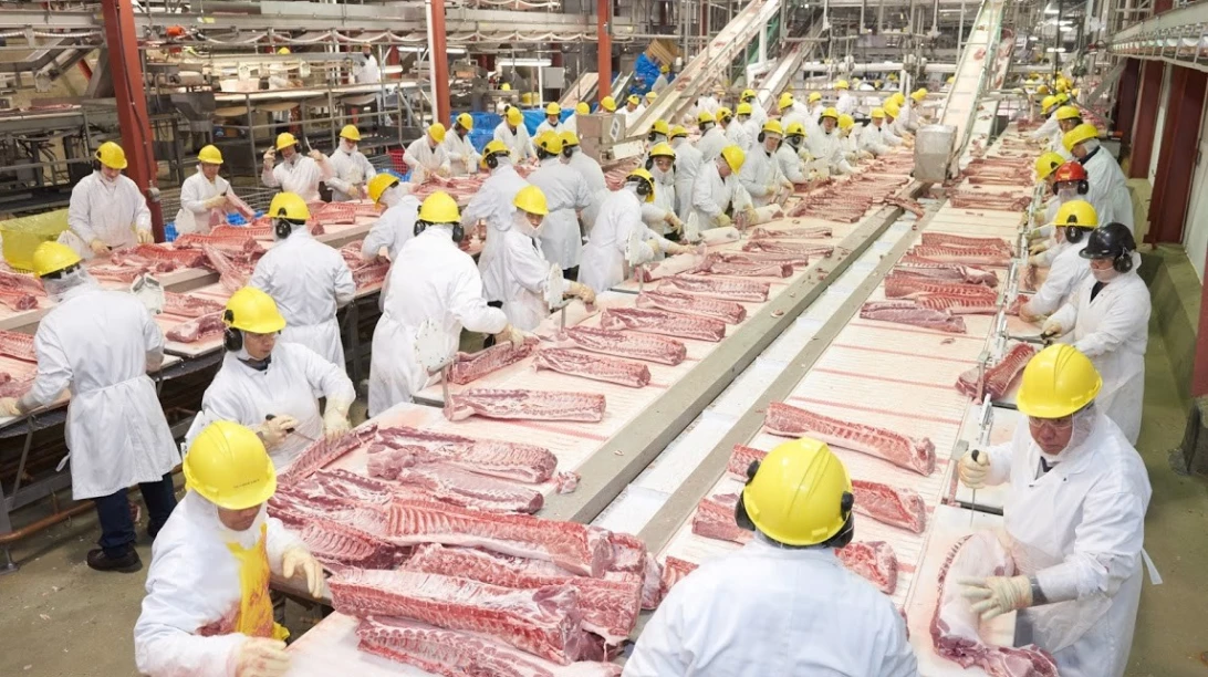 Intérieur de l'usine de transformation de porc de Red Deer en Alberta.