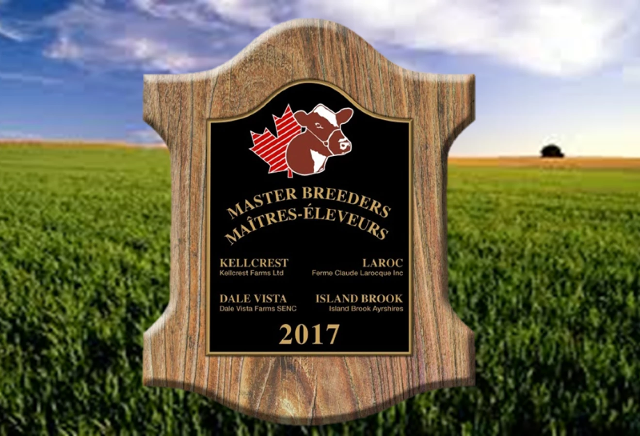 maitres eleveurs ayrshire 2017
