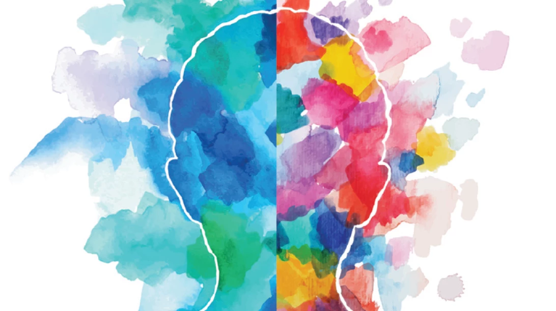 Deux côtés du cerveau.