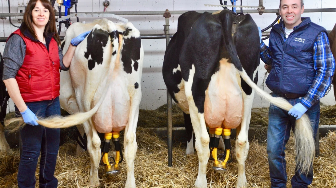 Ferme Jolipré Holstein, fière de la qualité du lait!