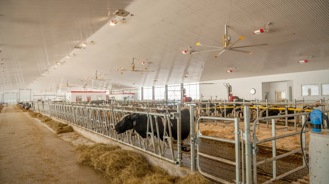 Ferme Hector & Fils