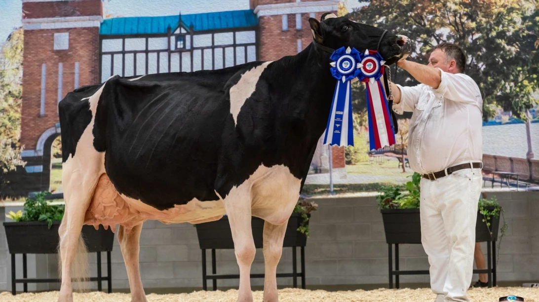 Championne de la 6e édition du Suprême laitier.