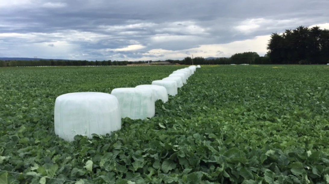 Pellicule d'ensilage Agrizone Xpert.