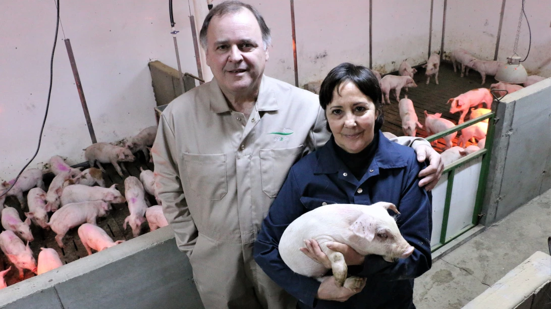 ferme-algie-a-lheure-des-decisions-cap-sur-la-finition 0