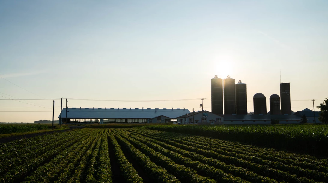 les-clients-de-sollio-agriculture-se-demarquent