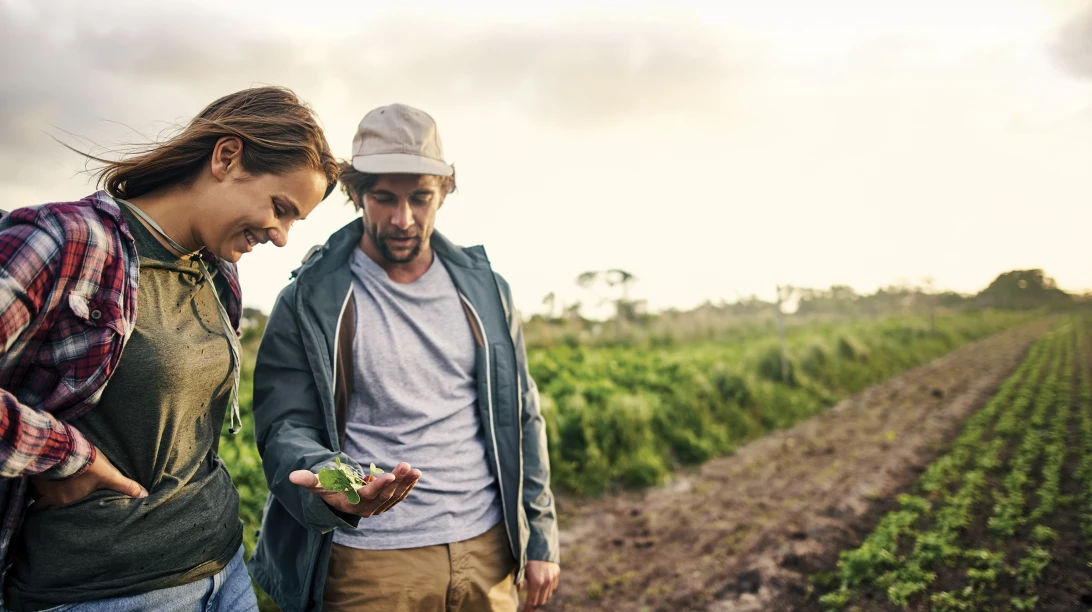 Homme et femme observant une plante dans un champ.
