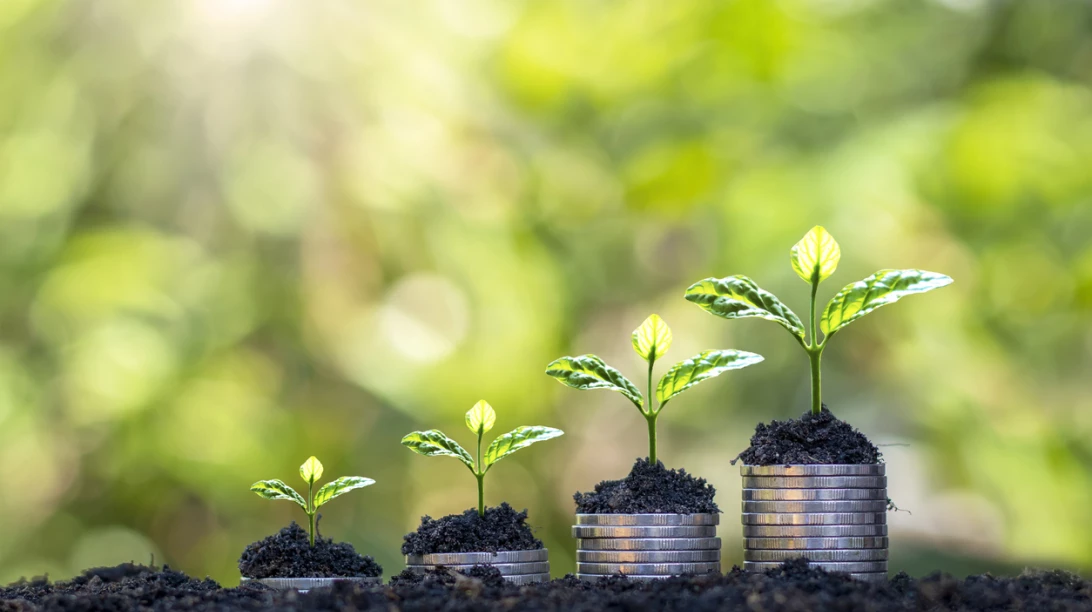 Plantes poussant sur des pièces de monnaie.