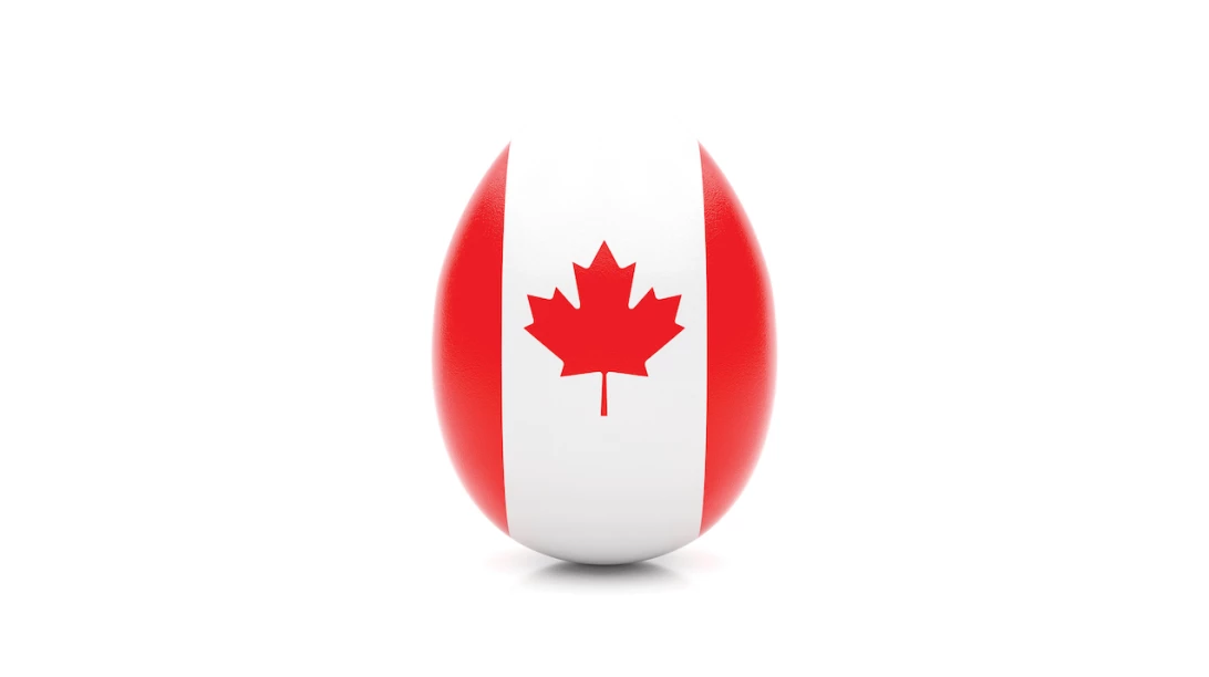 Oeuf au motif du drapeau du Canada.