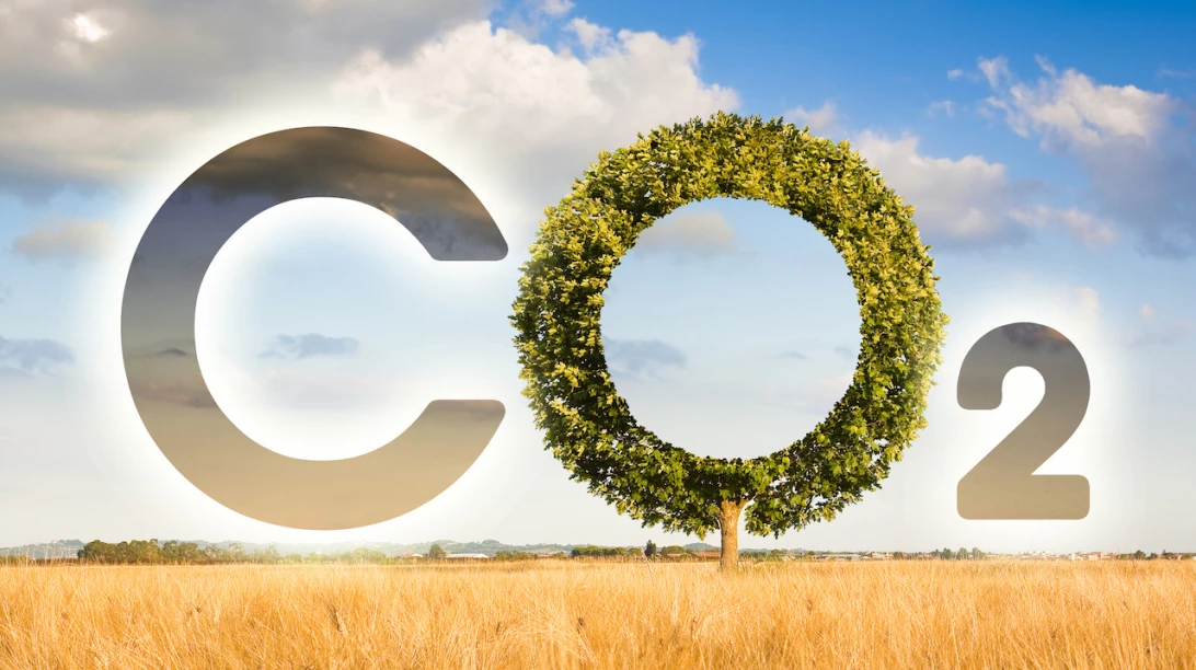 CO2 dans un champ.
