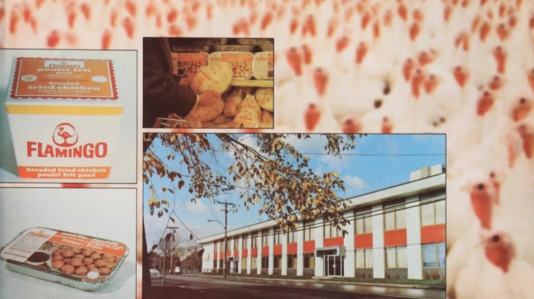 Visuel avicole de 1976