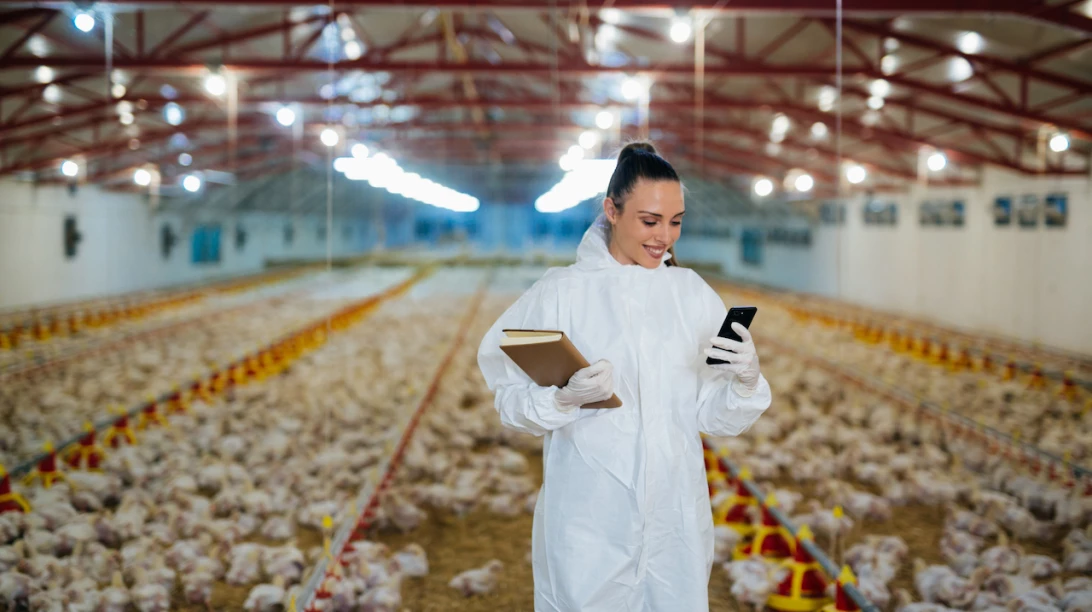Photo d'une productrice dans un bâtiment avicole.