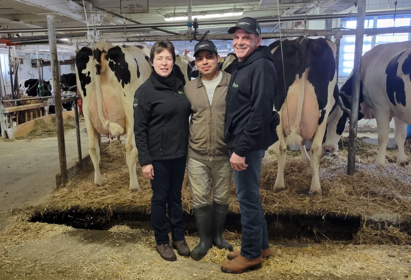 Trio de la Ferme Chantal