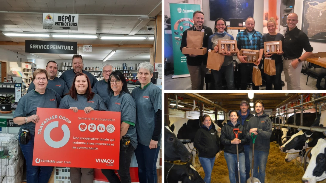 Groupes qui célèbrent la Semaine de la coopération