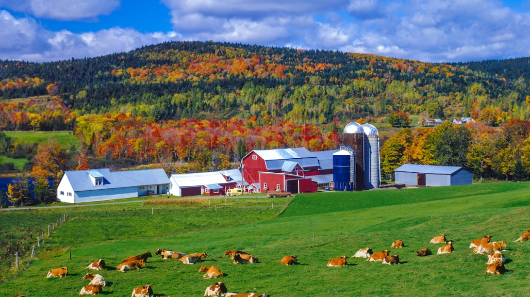 Ferme américaine.