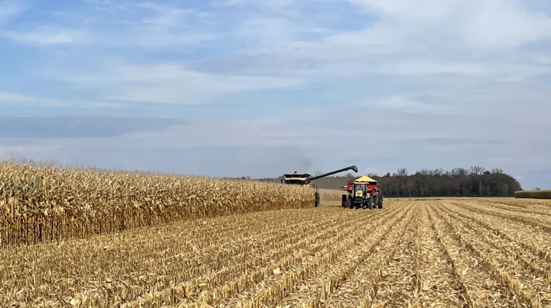 Machinerie récoltant dans un champ