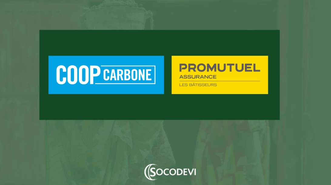 Visuel de SOCODEVI