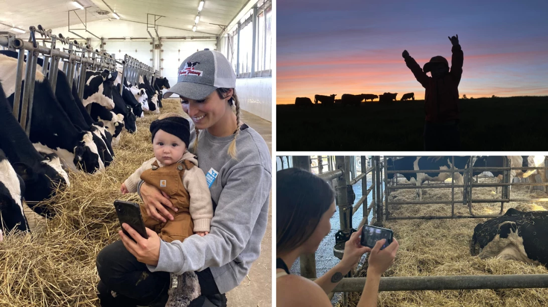 Mosaïque de la Ferme Le Paysan gourmand, Ferme Princy et de la Microlaiterie riverin du Lac