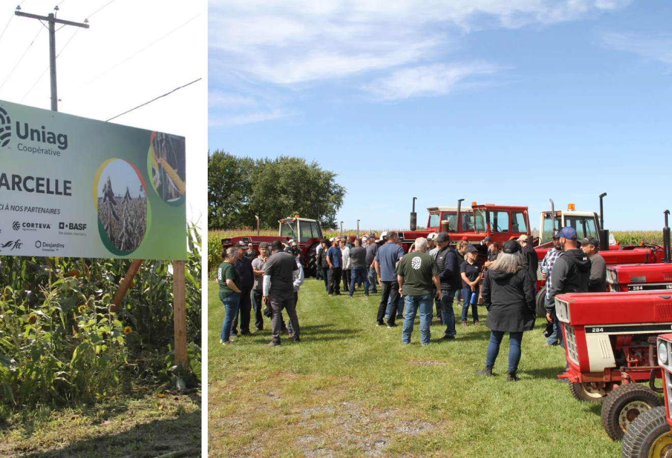 Parcelles Uniag Coopérative