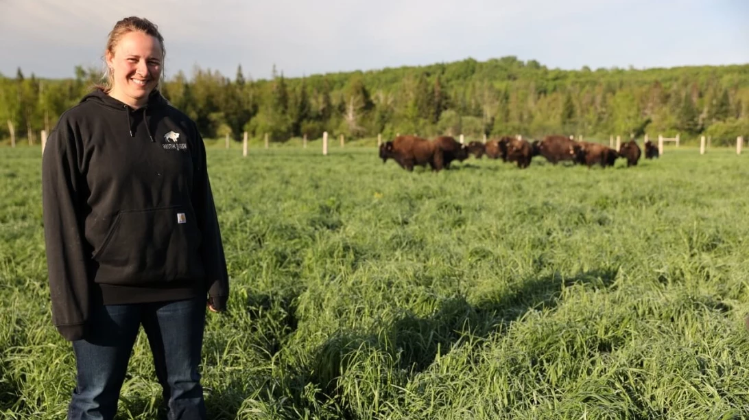 Anouk Caron devant son troupeau de bisons