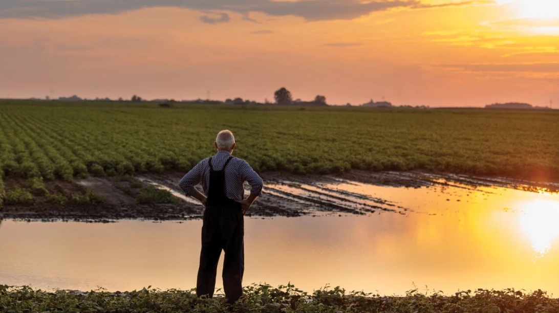 Un homme regarde un champ inondé