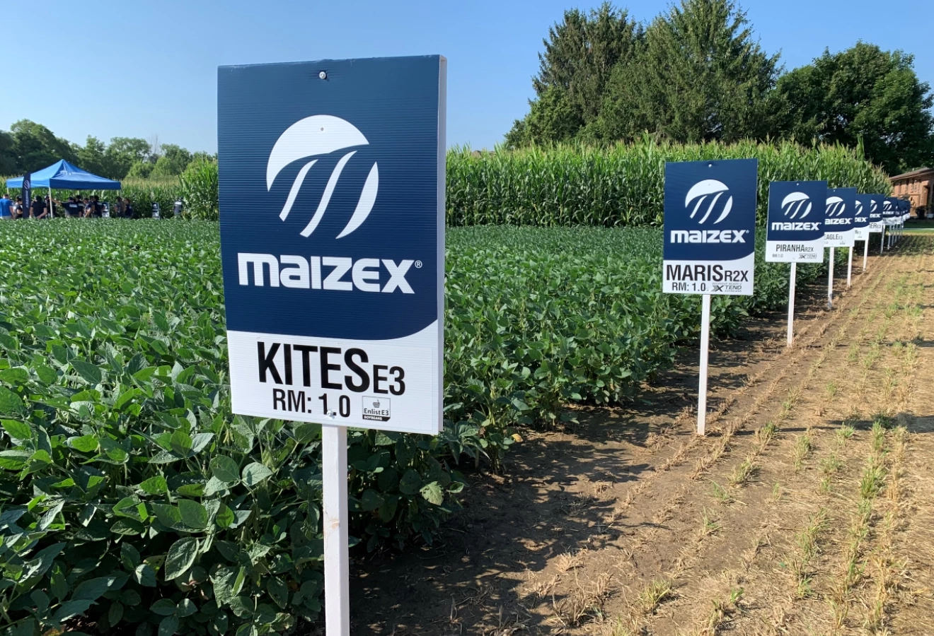 Nouvelle image de marque de Semences Maizex