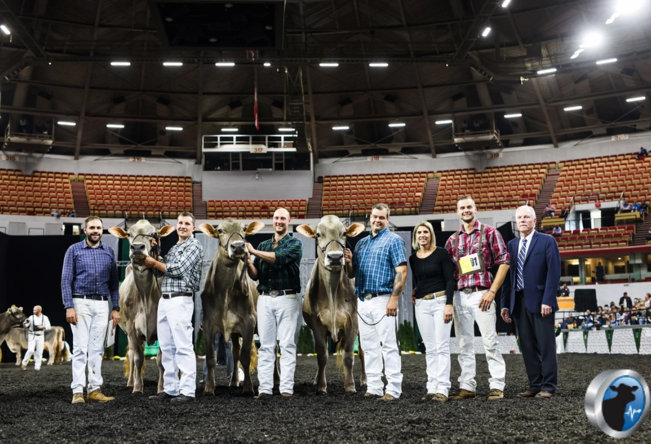 Ferme Brown Heaven, propriété Dave Rousseau et Josée Charron, Verchère, QC. 1er troupeau d’éleveur Suisse Brune WDE 2022.