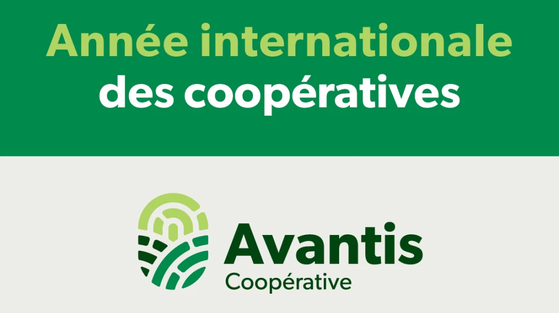Logo de l'Année internationale des coopératives et logo d'Avantis Coopérative