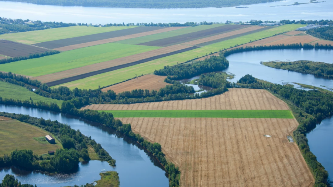 Zone riveraine en agriculture