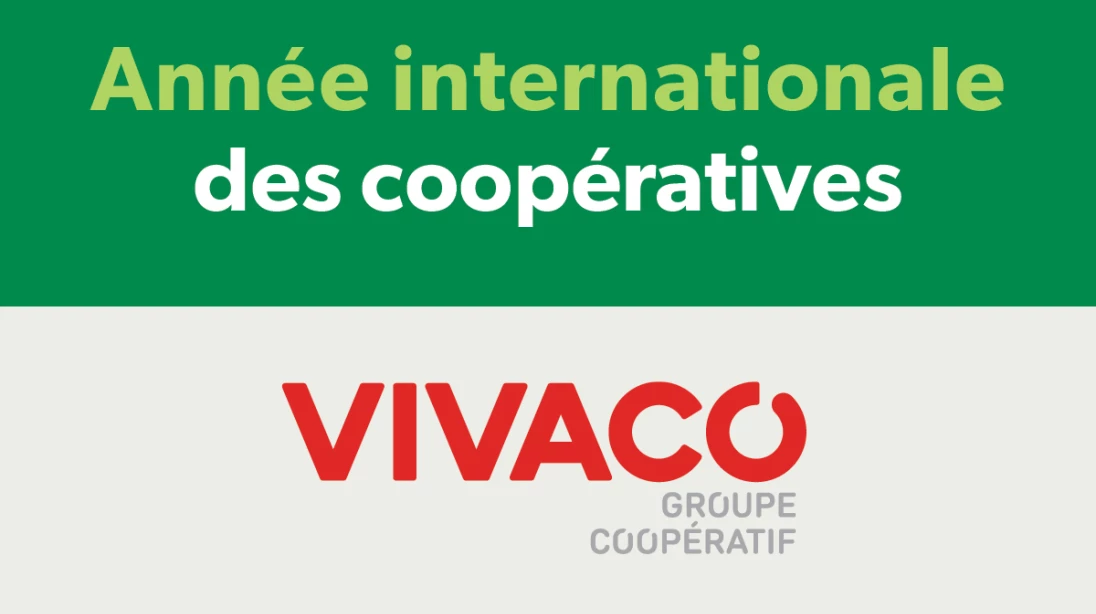 Logo de VIVACO groupe coopératif avec celui de l'Année internationale des coopératives