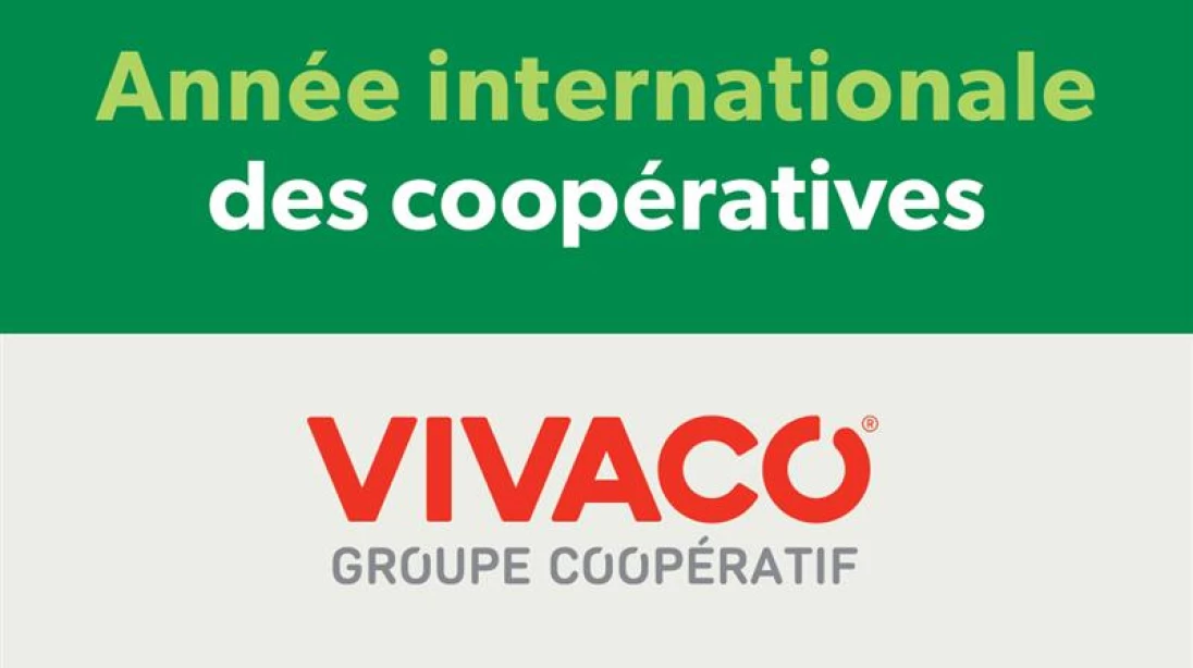 Logo de l'Année internationale des coopératives et logo de VIVACO groupe coopératif