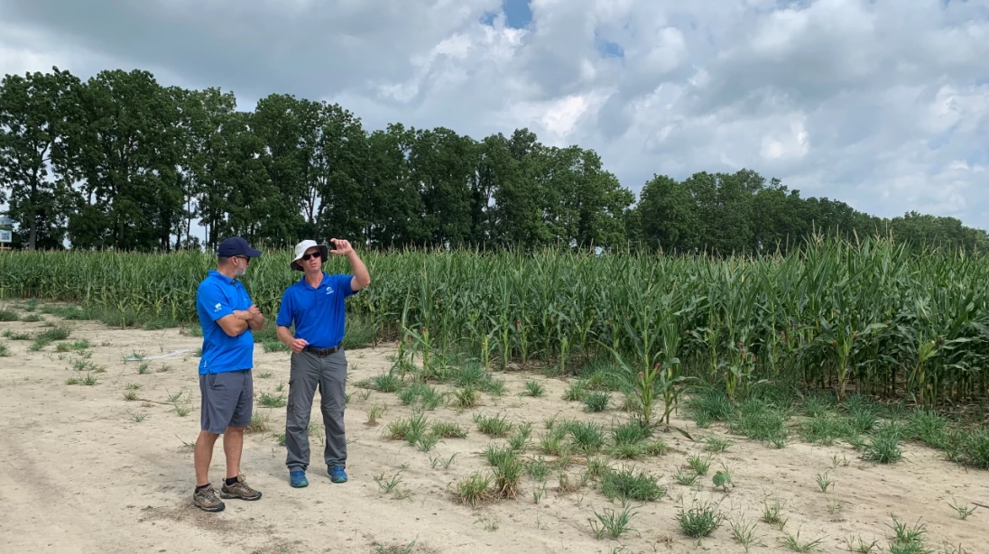 Deux employés Maizex discutant devant un champ