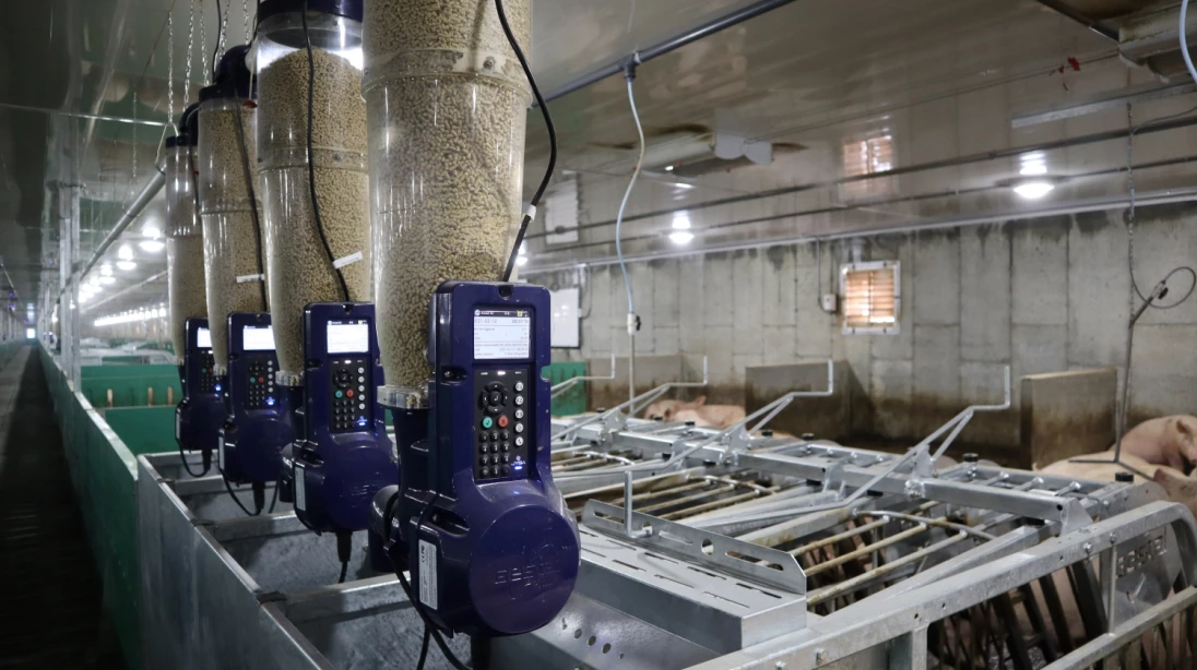 Alimentation automatisée