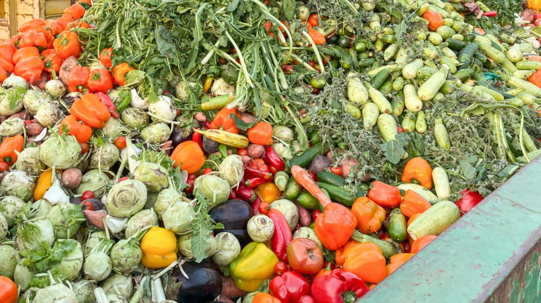 Des légumes expirés dans un conteneur à vidange