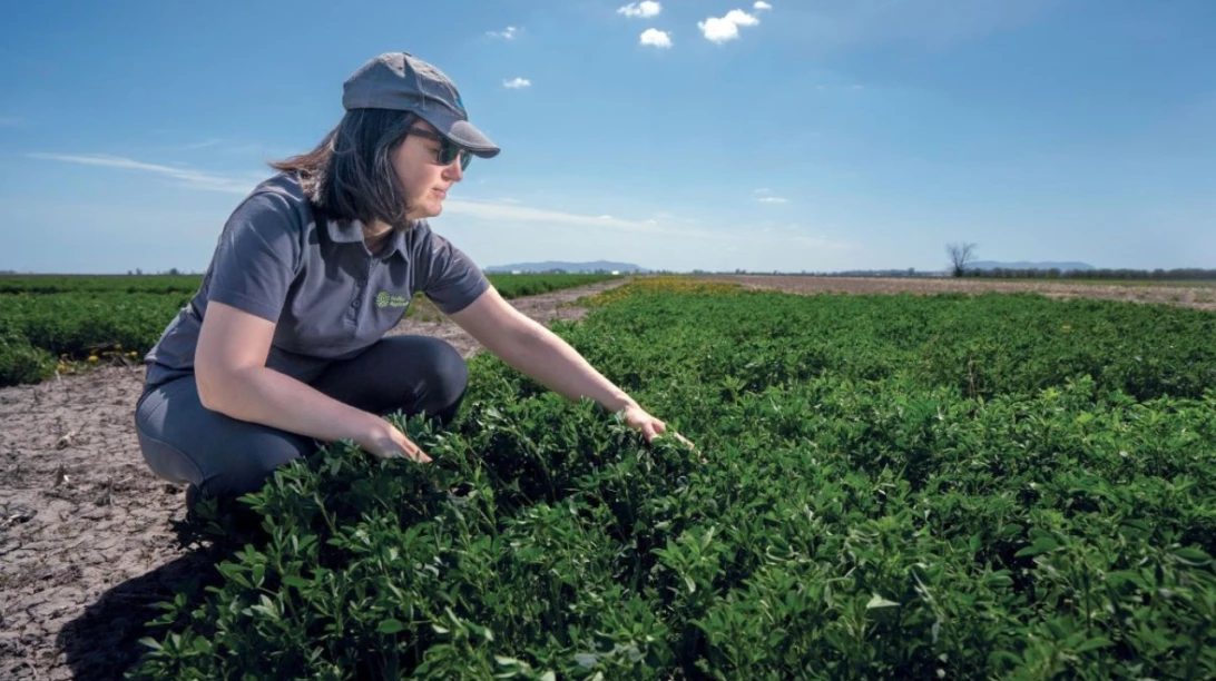Agronome accroupie dans un champ