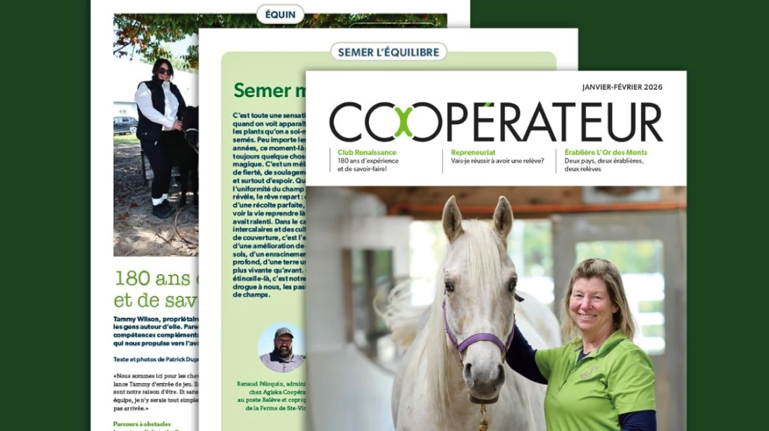 Montage de la nouvelle grille graphique