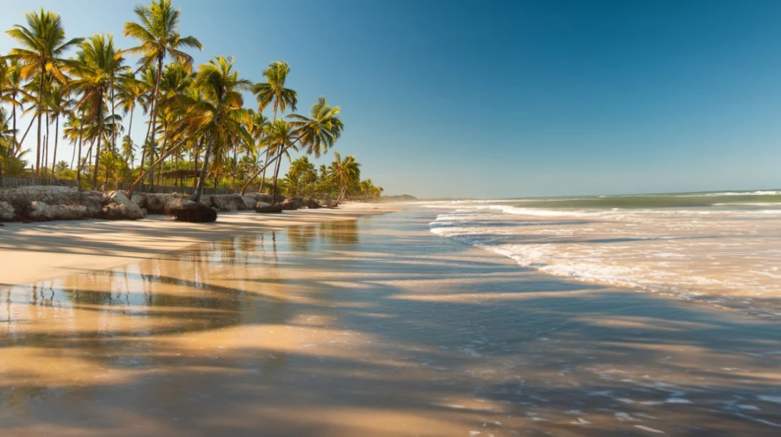 Plage tropicale avec des cocotiers