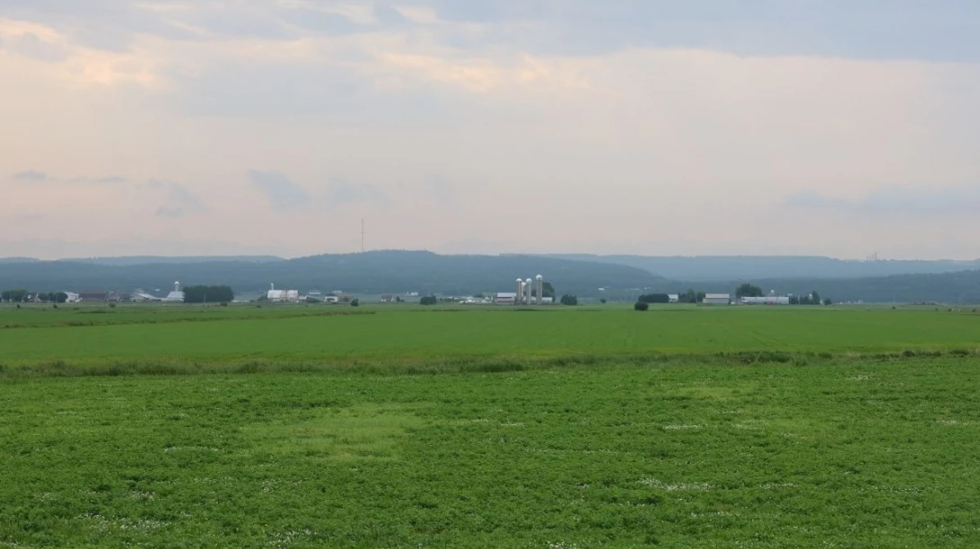 Paysage de champ verts avec des longues parcelles horizontales.