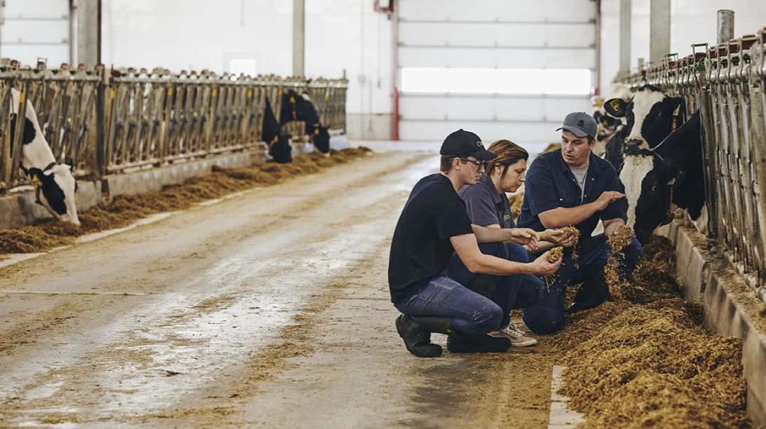 Experte-conseil à la ferme et producteurs