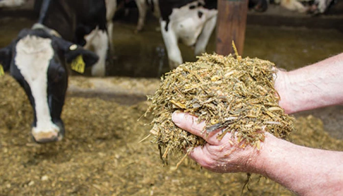 Ensilage