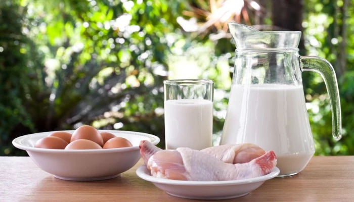 Oeufs, poulet et lait.