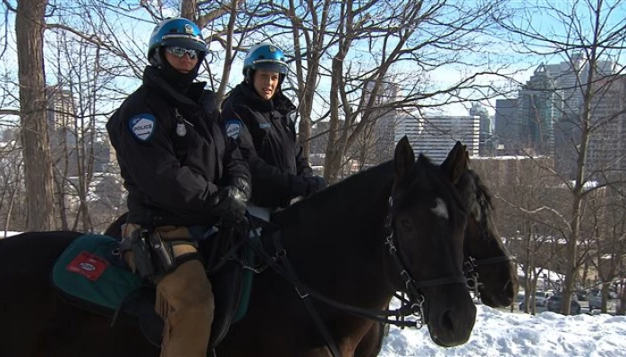police cheval