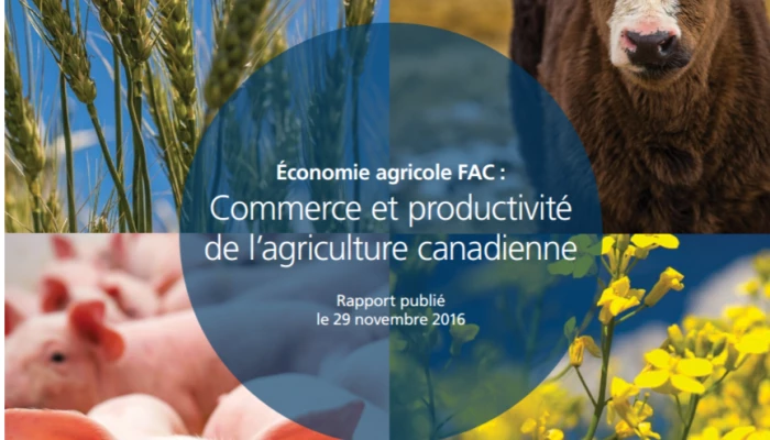 Montage de photos d'éléments naturels réalisé pour servir d'annonce au rapport de la FAC.