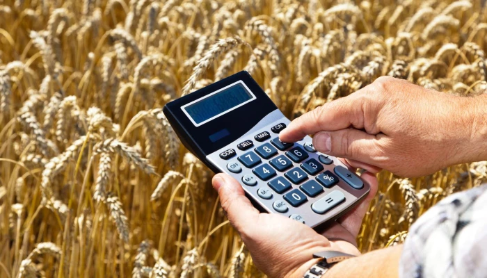 Personne tenant une calculatrice dans un champ de blé.