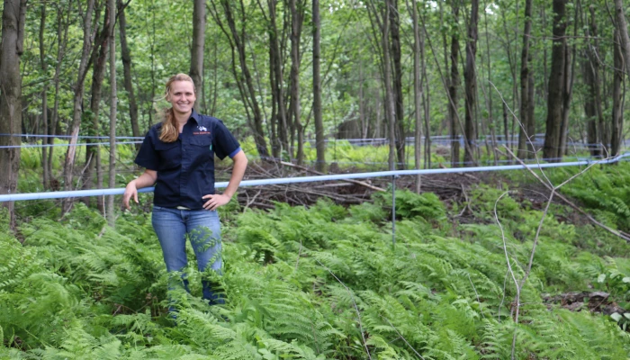 ferme belstein - mireille belanger - copie