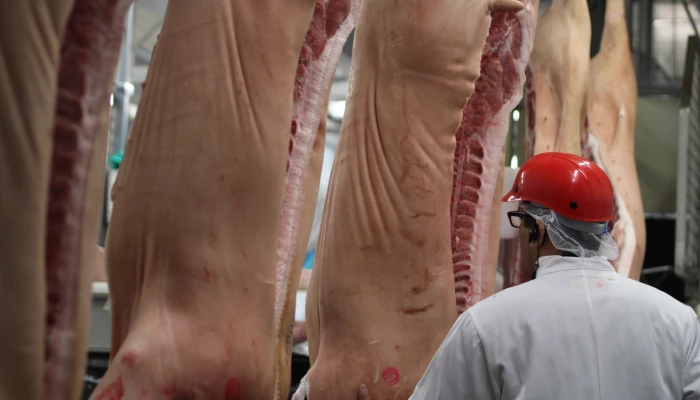 Transformation du porc à Olymel Yamachiche