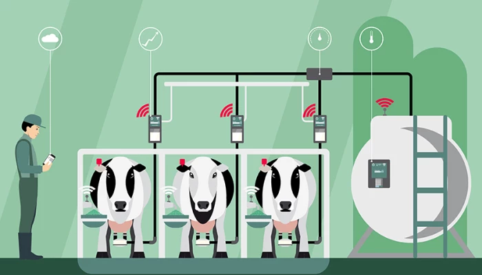 .Vaches en lactation